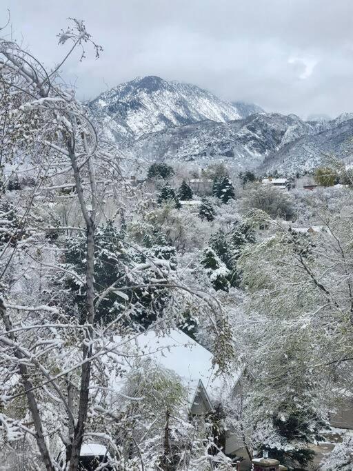 Large 3200Sf A-Frame House Close To Snowbird Alta Ski &Stunning Mountain View! Sandy Exterior photo