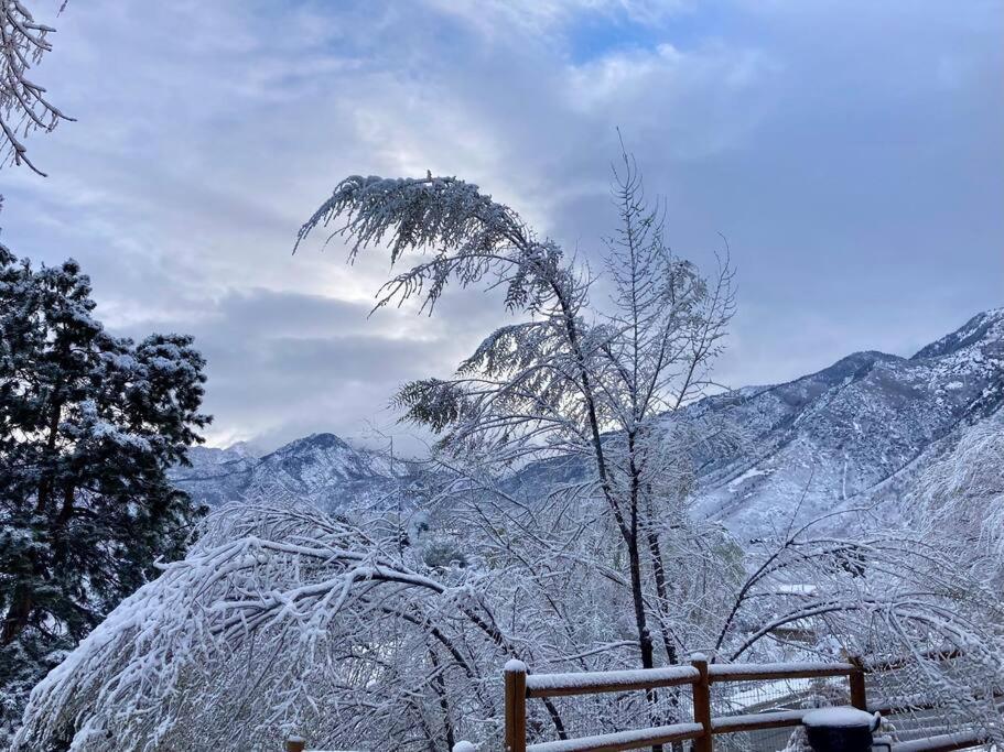 Large 3200Sf A-Frame House Close To Snowbird Alta Ski &Stunning Mountain View! Sandy Exterior photo