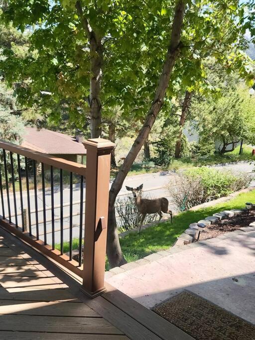 Large 3200Sf A-Frame House Close To Snowbird Alta Ski &Stunning Mountain View! Sandy Exterior photo